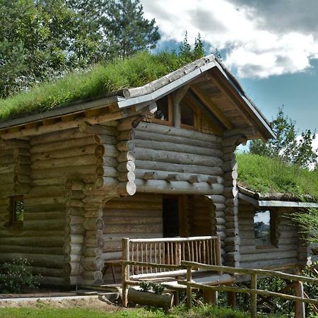 La Cabane De Hans Saint-Martial-de-Gimel Dış mekan fotoğraf