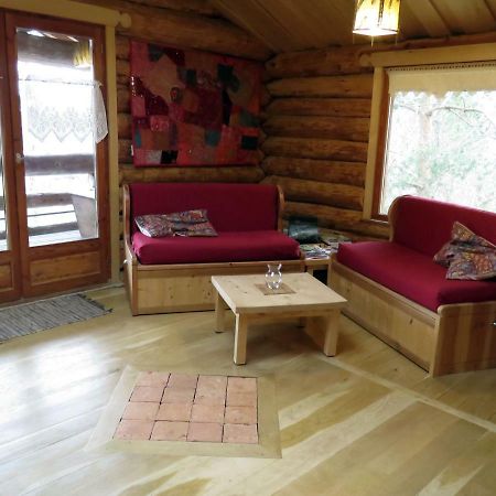 La Cabane De Hans Saint-Martial-de-Gimel Dış mekan fotoğraf