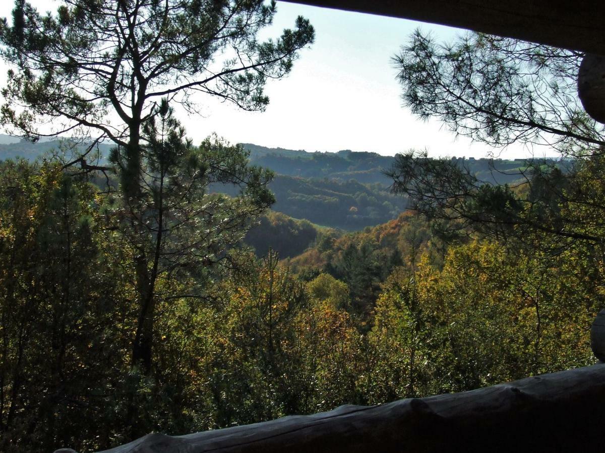 La Cabane De Hans Saint-Martial-de-Gimel Dış mekan fotoğraf